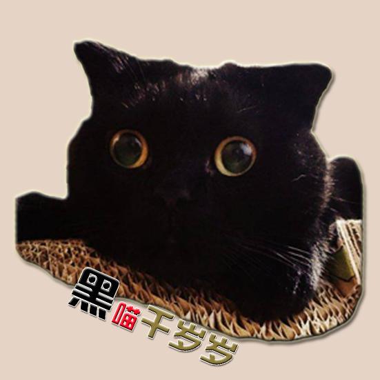 黑喵千岁岁