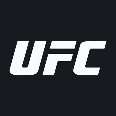 ufc终极格斗冠军赛创作的原声      ufc终极格斗冠军赛 时长 18秒