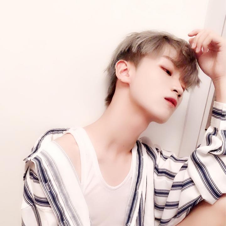 西 槿的最新作品