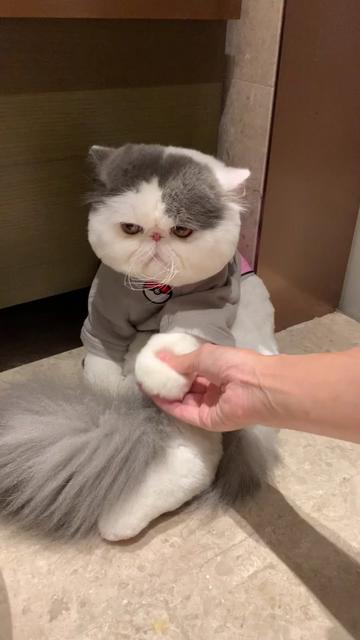 梁老财:  手感特别特别好 标题 手感特别特别好 提